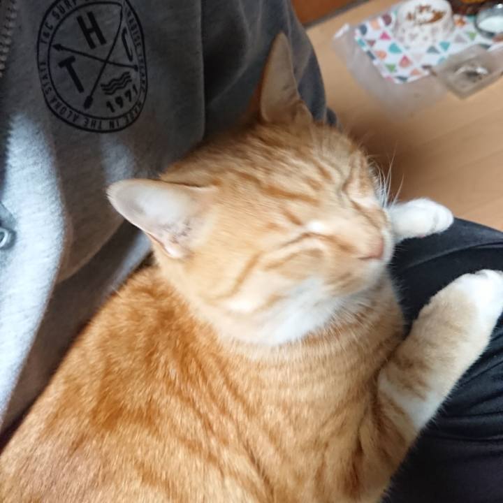 0ad4abf8 1c8f 477a 870a 7f245901b5bb 1606555600020