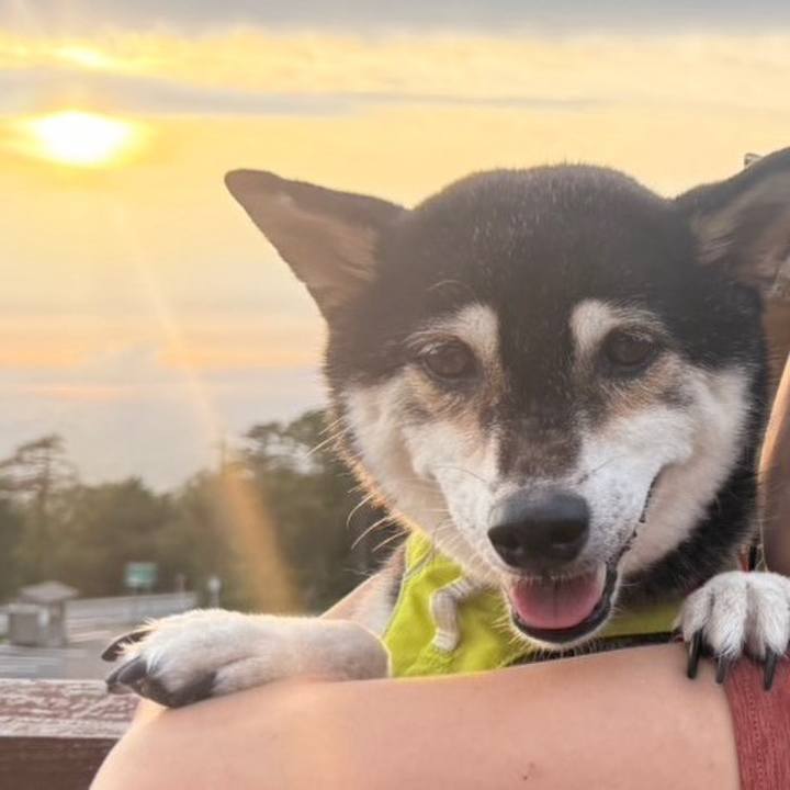 0ad4f3fe 7778 405d b5ce 0273725e39e1 1757646913624