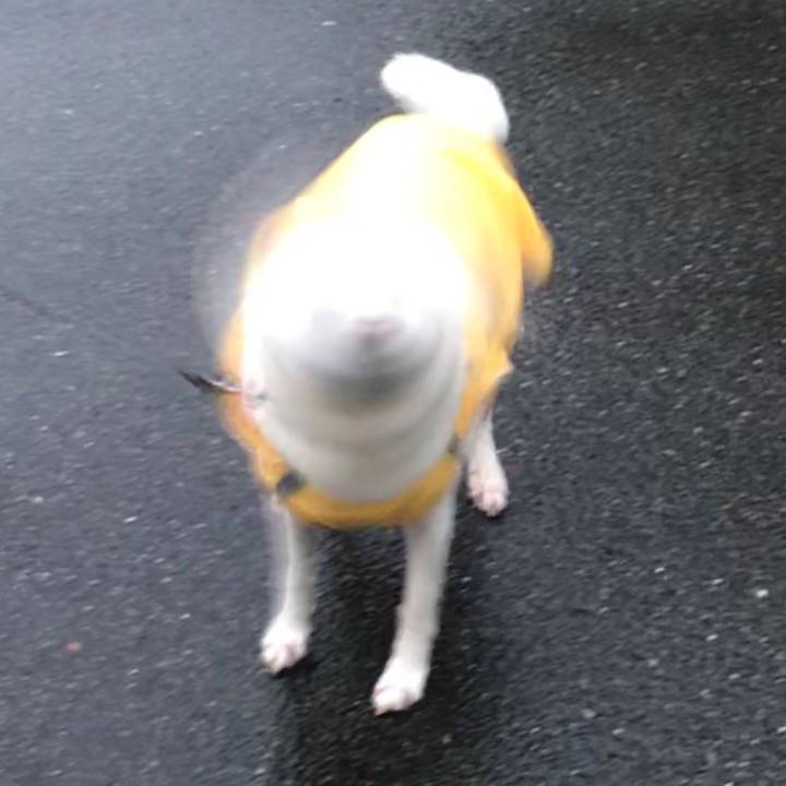 0ad4fed7 60f5 4d28 8bde de6c4f0666cd 1525694409251