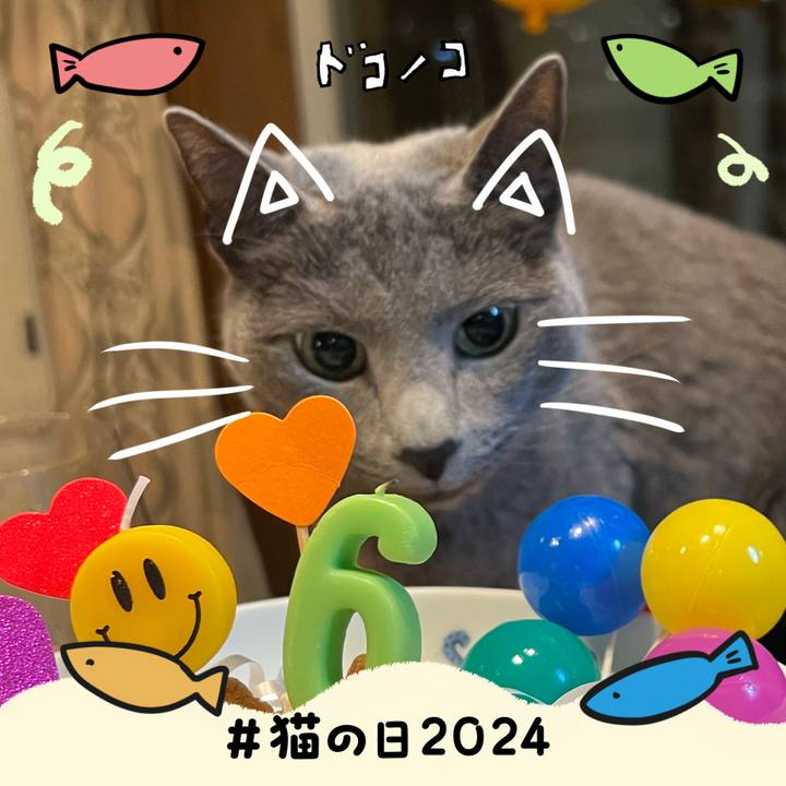 0ad511b6 27f2 46e2 8991 f86e61a6cde3 1708564130807