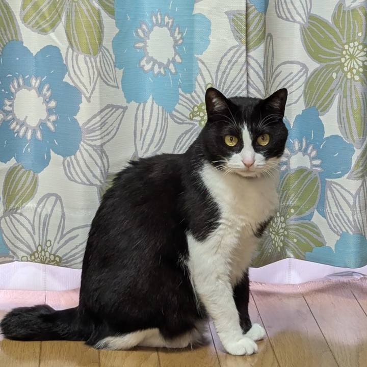 0ad51b36 05a5 43bf a401 041e7744d35e 1748922359250