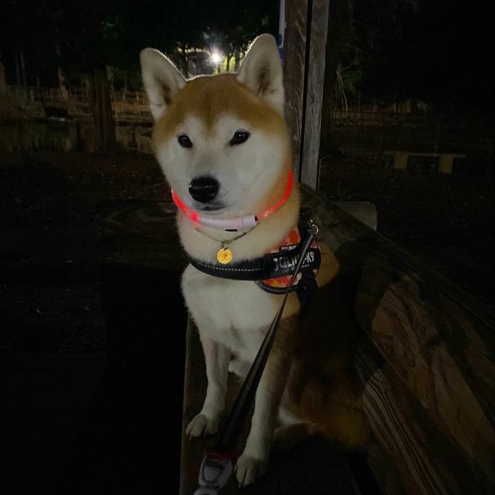 0ad52add 81bf 4121 954f 677a22cef4e1 1638790023579