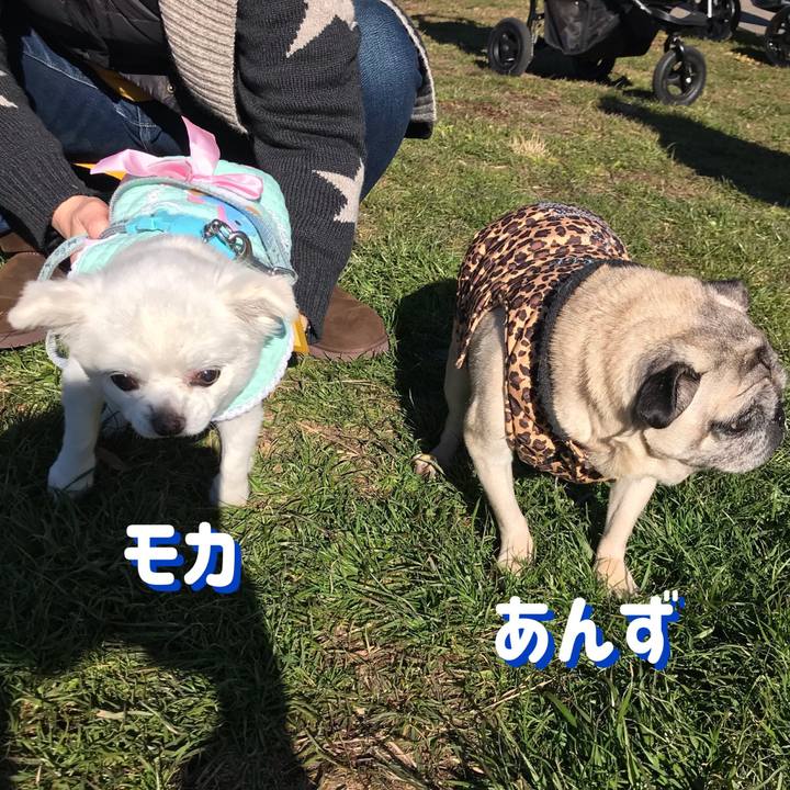 0ad52cca 50fb 4911 913b 3fa6c6ac98bf 1546078103136