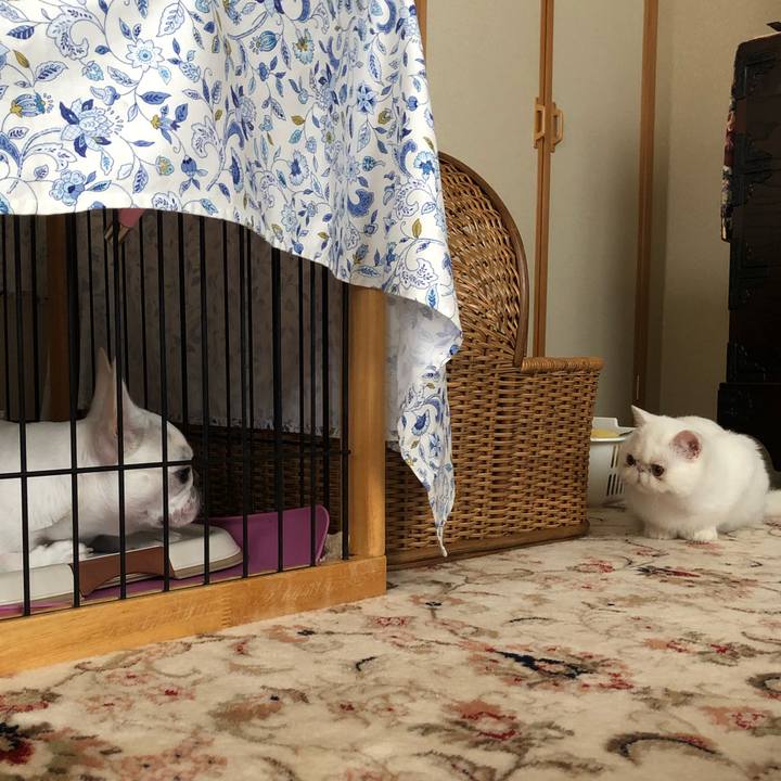 0ad53316 6a31 411a bd01 0c785aab8557 1562413322965