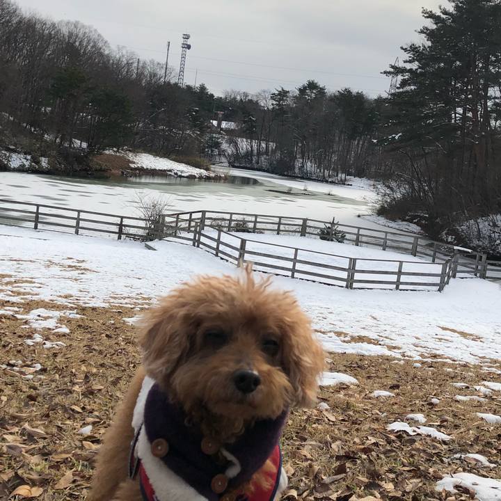 0ad5488a 59ab 4ddf 9c99 f75b5bb87966 1609818527710