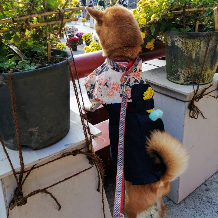 0ad5bbf9 0122 482f 9c26 96552bd739d4 1606041579401