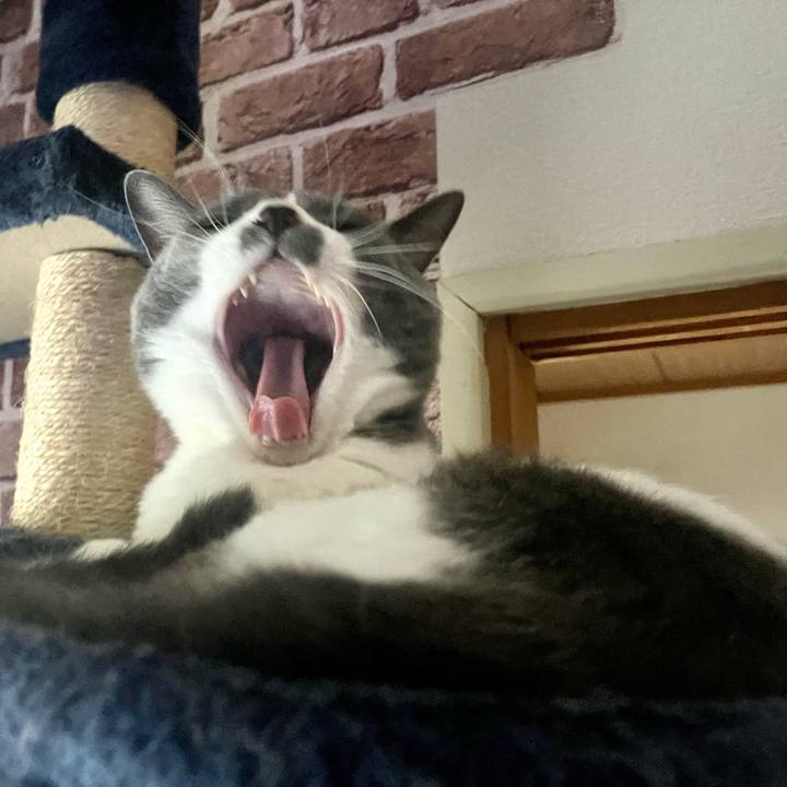 0ad5cfe9 8396 42d3 a673 683d895f9d00 1665962425073