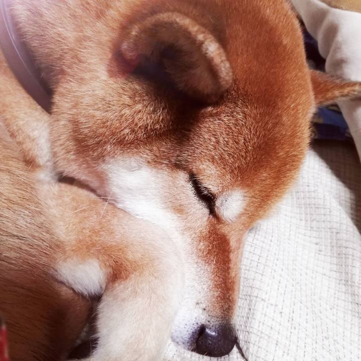 0ad5dbf7 84dc 47ff 91e6 509a494857b9 1582384840013