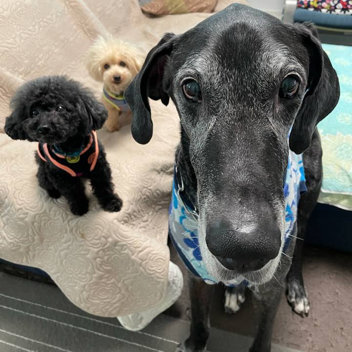 0ad5ec4b 744f 49a6 b671 f983890ad3c3 1621464705580