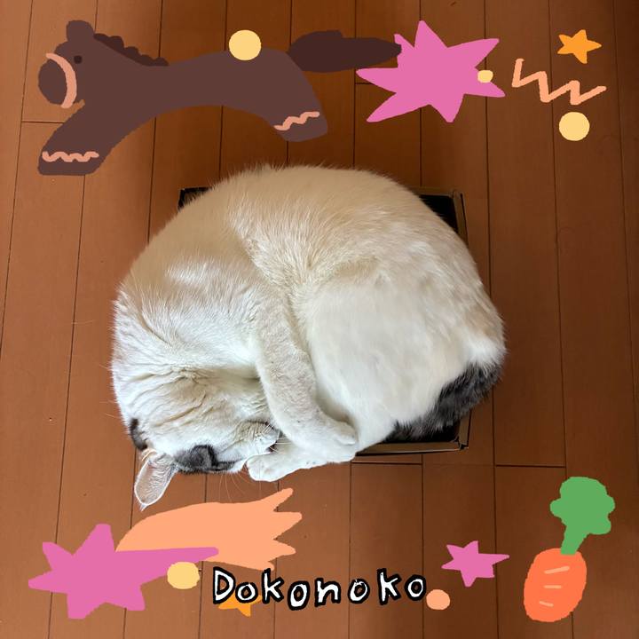 0ad63589 95bc 4b1f bb1e 03ccdbf6c678 1772059627430