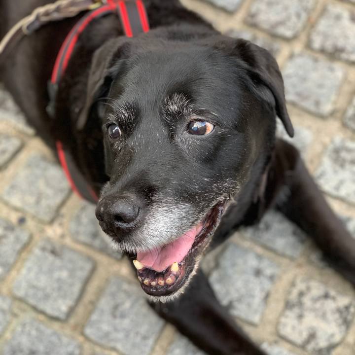 0ad64a43 5b0b 4239 bab6 8a320d646631 1602281545899