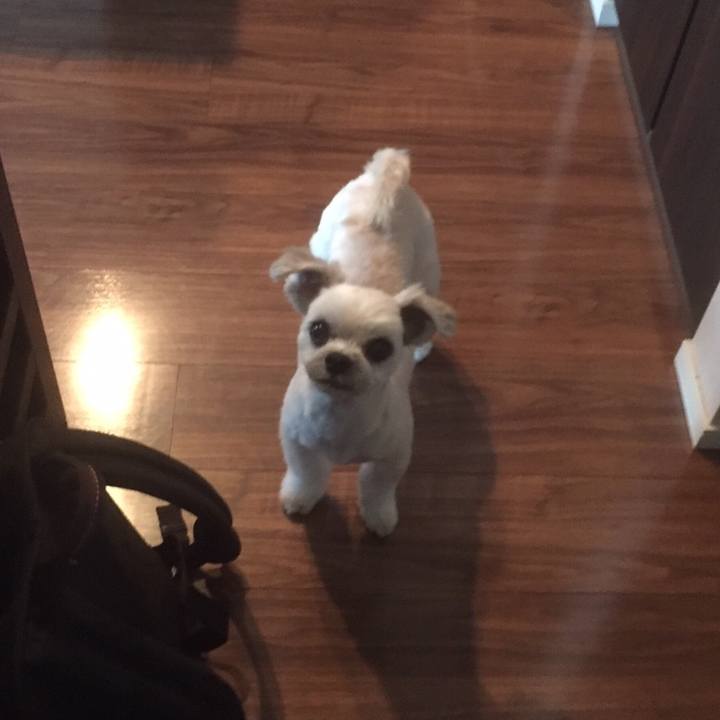 0ad690bc 397f 4e9e ac16 ea7167593793 1558609092413