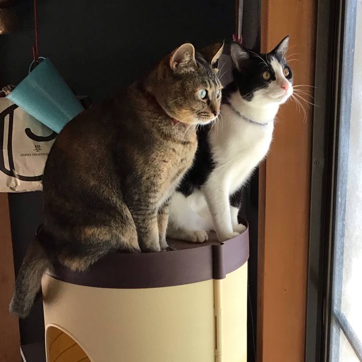 0ad6c55f 5100 4fca 8587 a1f903cee71f 1638416948979