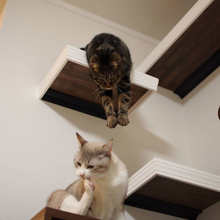 0ad70240 6ac3 4028 9845 e72496eb75df 1544965123564