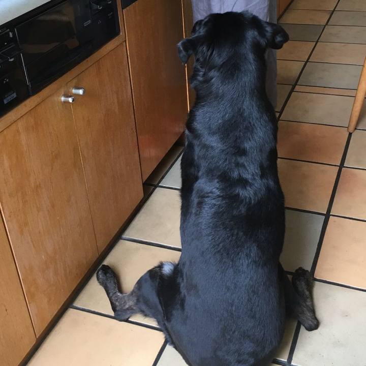 0ad72af0 d066 4eb4 9dfb be2468fce1f1 1563001859620