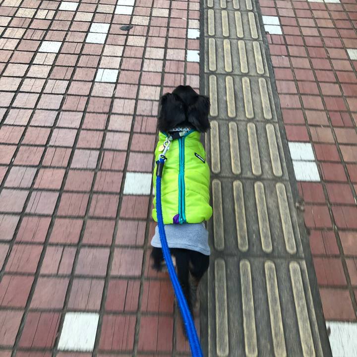 0ad74c4f 5091 4959 aced f459f5b55988 1544339018538