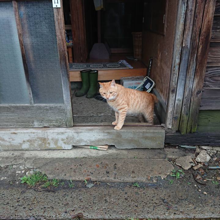 0ad7915a 6ac6 4450 a015 2922f1920b11 1651060999724