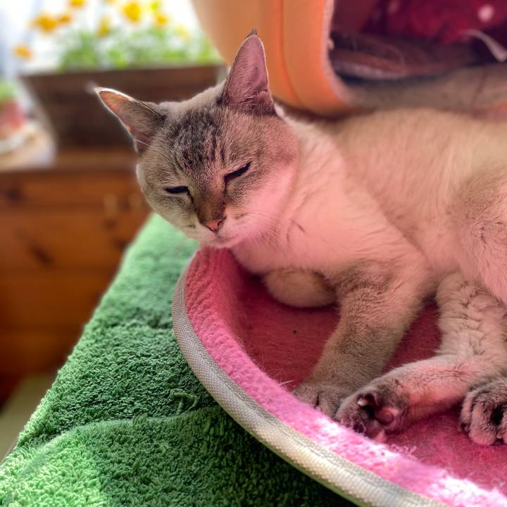 0ad79e55 677f 4388 b122 abc181005592 1602906149038