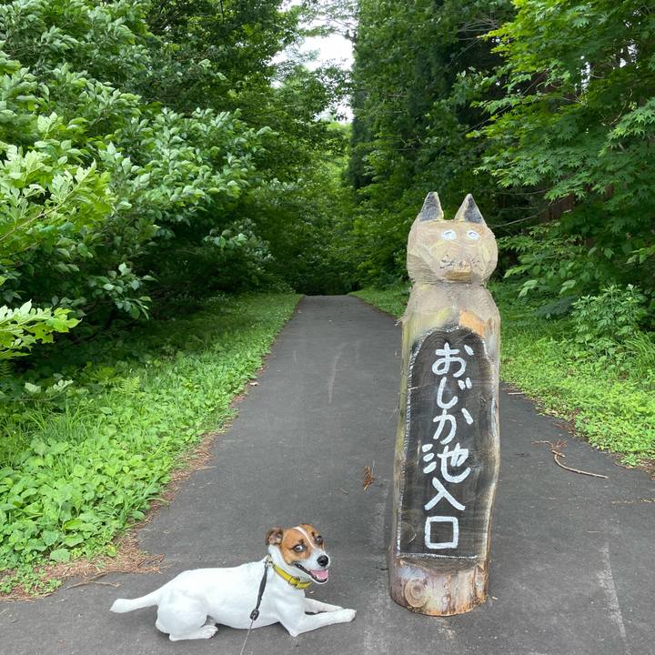 0ad7fc0e 52b1 4203 ace7 fa9b0af4eab8 1656145930438