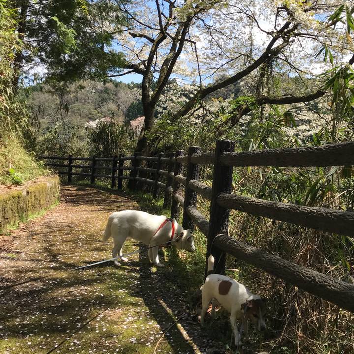 0ad893f5 42ab 4926 9596 71f8123d8145 1523182054494