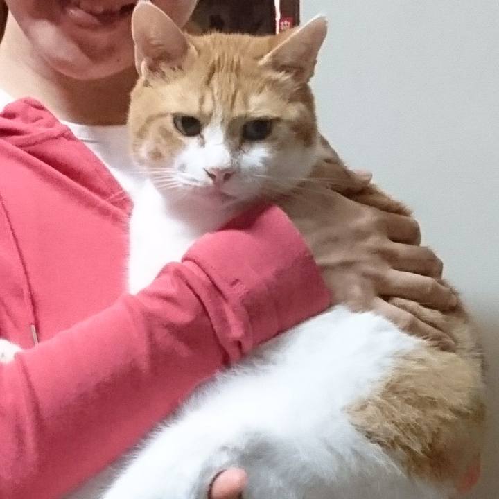 0ad89d06 07aa 4717 9dbb 09b6625393f5 1567639185981