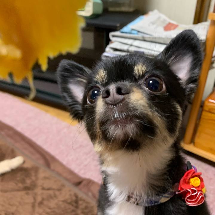 0ad8ad9a c5c6 4afc aa2c 3c324b25bda5 1554020468507