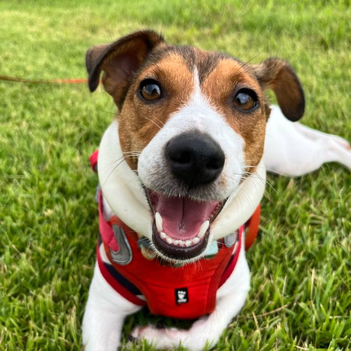 0ad8cc31 ef3a 48bc a22f aef5ed2a0a99 1724729800529