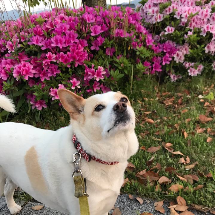 0ad8cfc6 7526 4a42 8f59 90561c2fe87f 1650691554950