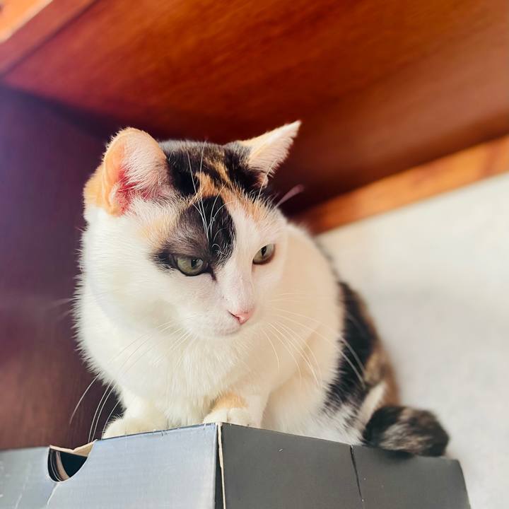 0ad8cfe1 aa66 4614 aa93 46a0665a14f3 1609032422784