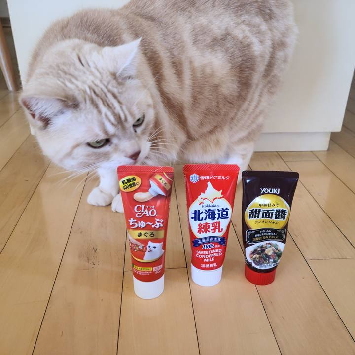 0ad8dc64 ccba 42a0 ac9f 95256a2af35a 1646956698576