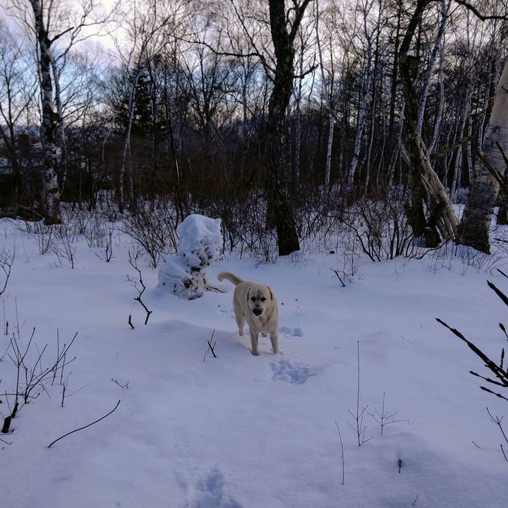 0ad90164 0718 4d3e acbf a50124d59f74 1672186804257