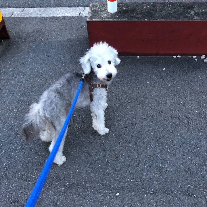 0ad96942 3385 46d4 8217 99c4443622e9 1629674949550