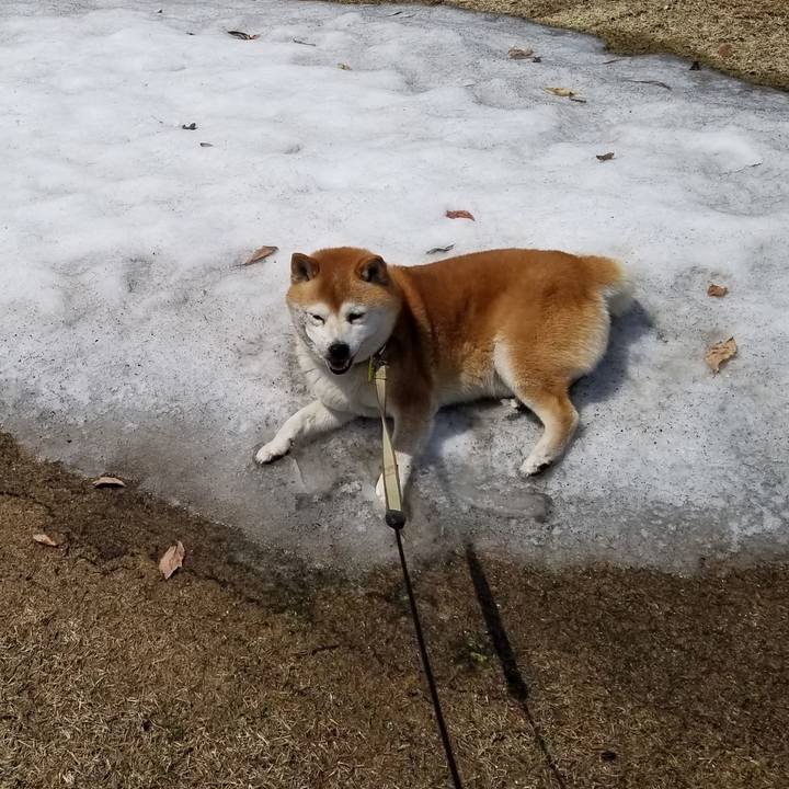 0ad985ae fef1 4349 b2af 48aba66fc362 1650338810556