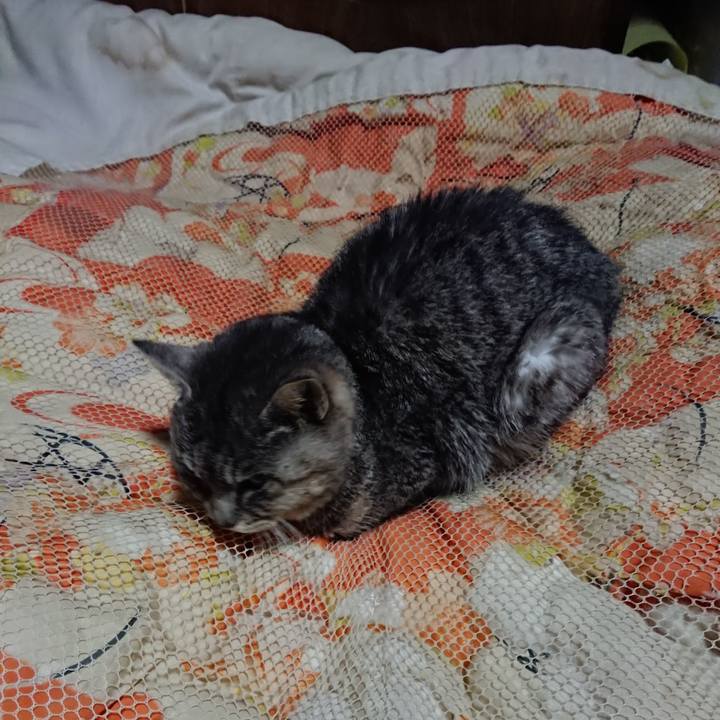 0ad9e162 a1fa 4e88 b499 b8f72b26b1f8 1580643540657