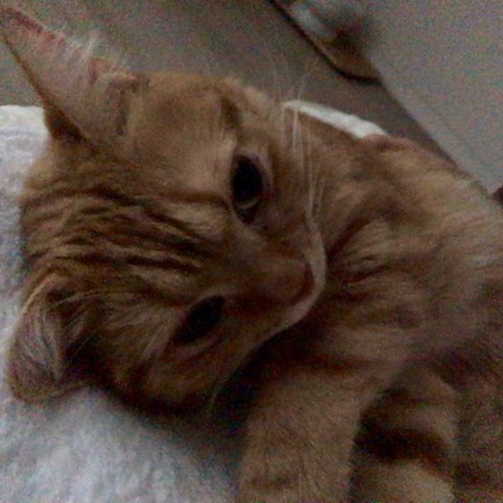 0ada2550 fc02 4995 a3fc 5ca0651b290e 1538784982545