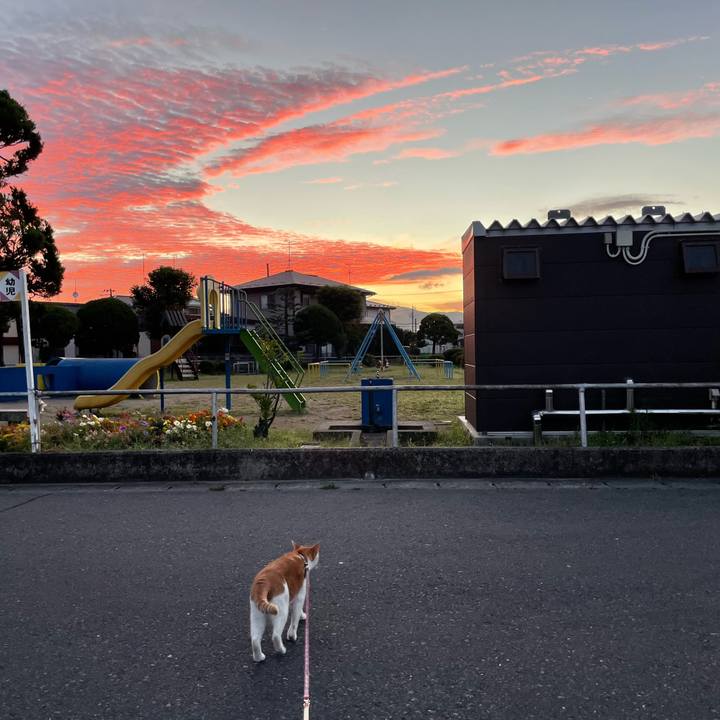 0ada2f60 c0fa 49f0 a8ca ae1f9f09ab33 1722454148543