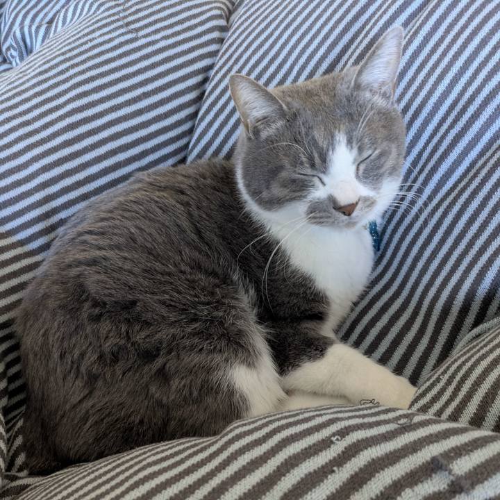 0ada3201 4c81 4215 bfb1 e9bda8154665 1769306533336