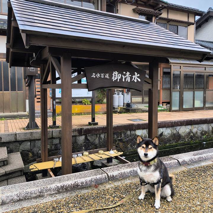 0ada97aa ec9e 4bbc 943e 0f47d0bd2194 1761989171048