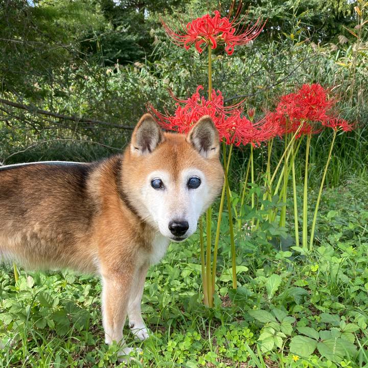 0adab0d1 cea7 4adf be1a a35d0b601e2f 1758591705555