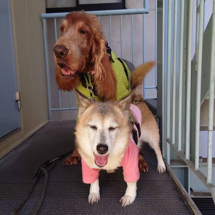 0adab869 8652 4fc5 b2d7 2af1f914ce90 1709963001018