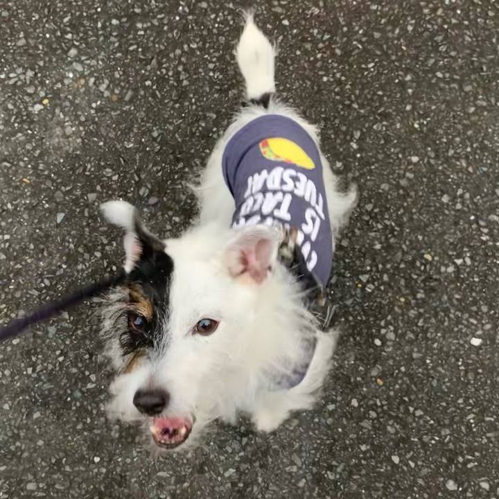 0adabfc6 5b0b 4cf8 9768 2f8046fa0943 1665994414935