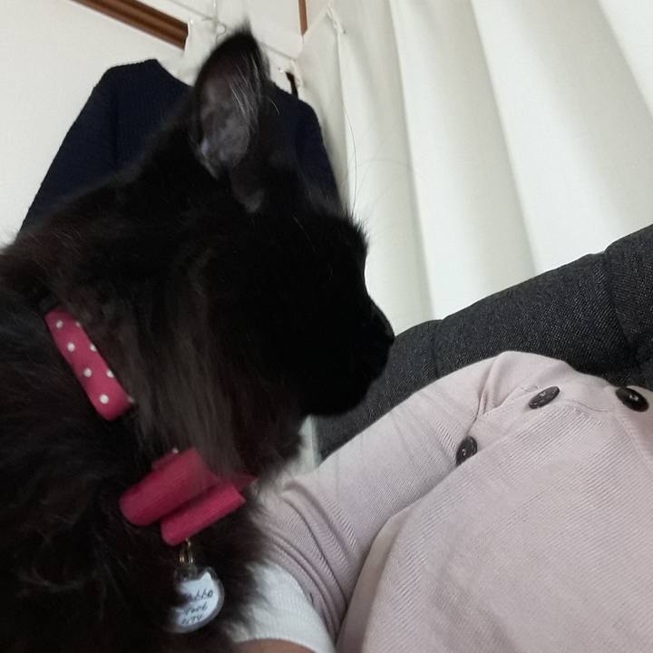 0adae385 5b2f 4a83 a47f 33684d1eacc0 1519889435098