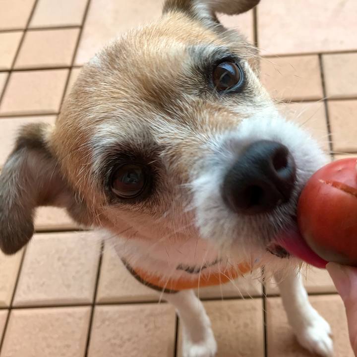 0adaef1d 6707 409b ab1c 658c710cbbc7 1625007602430