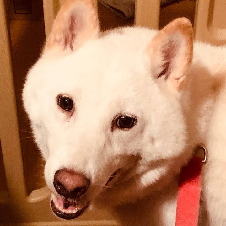 0adafa5c cb55 40f5 8f76 7225ef167036 1598735248941