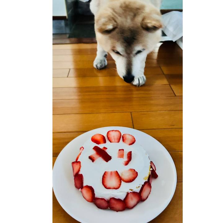 0adb0295 cfdd 417f acc4 368b717b9de3 1745920240277