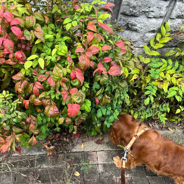 0adb0ba0 d3ad 41c0 9d80 2462b6b7164d 1760751859656