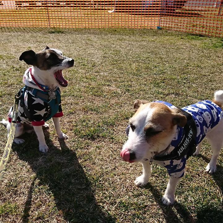 0adb1028 e954 4aba a240 3b5829218390 1549100152515