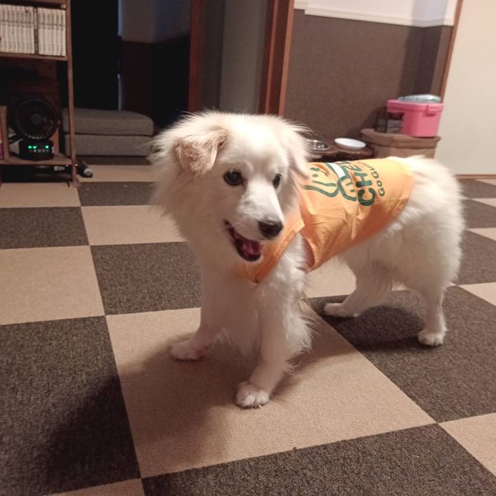 0adb1227 313a 44e7 8958 44d52c1a5798 1754608874166