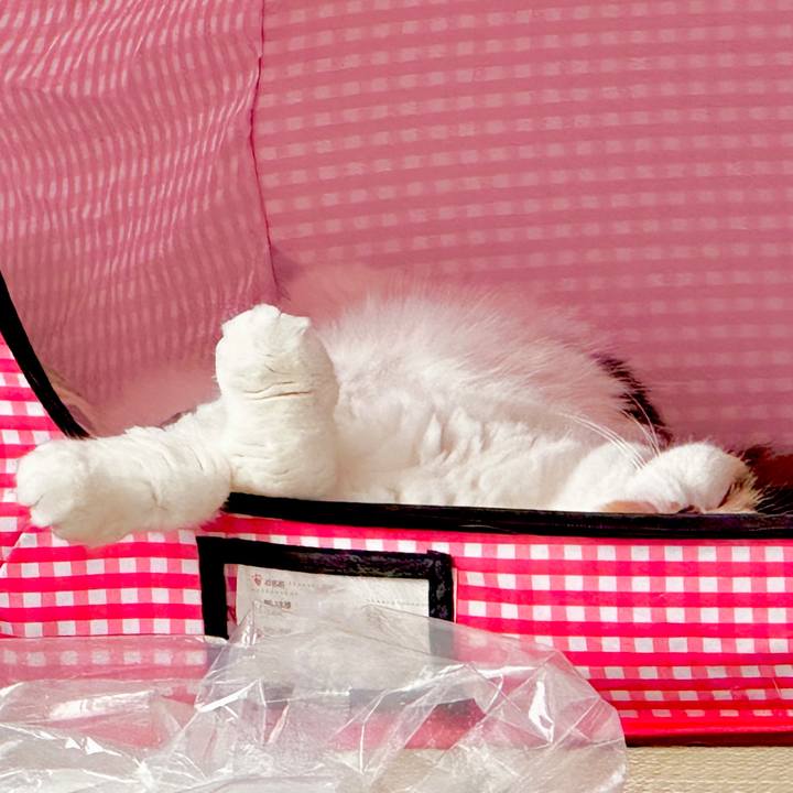 0adb96e9 b190 4fd3 87e1 342e63331c8c 1687578099667