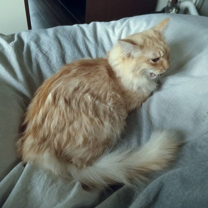 0adb99f5 64ce 4ceb a8ad 60b4b8fcae5c 1645339557017